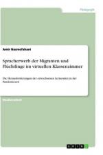 Spracherwerb der Migranten und Flüchtlinge im virtuellen Klassenzimmer