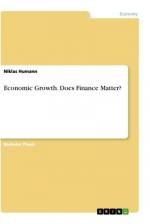 Economic Growth. Does Finance Matter?