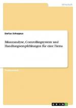 Bilanzanalyse, Controllingsystem und Handlungsempfehlungen für eine Firma