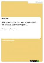 Abschlussanalyse und Wertpapieranalyse am Beispiel der Volkswagen AG