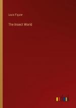 The Insect World