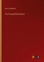 The Young Wild-Fowlers