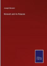 Nineveh and its Palaces