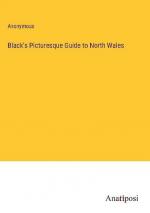 Black's Picturesque Guide to North Wales