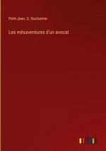 Les mésaventures d'un avocat