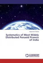 Systematics of Most Widely Distributed Penaeid Prawns of India