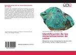 Identificación de las mineralizaciones de cobre