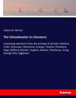 The Schoolmaster in Literature