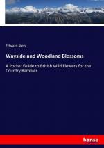 Wayside and Woodland Blossoms