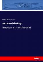 Lost Amid the Fogs