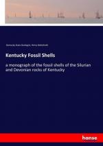 Kentucky Fossil Shells