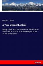 A Year among the Bees