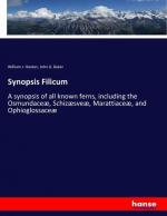 Synopsis Filicum