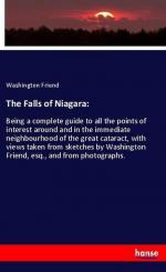 The Falls of Niagara