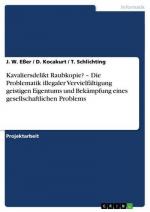 Kavaliersdelikt Raubkopie? ¿ Die Problematik illegaler Vervielfältigung geistigen Eigentums und Bekämpfung eines gesellschaftlichen Problems