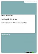 Ulrike Koschwitz: Im Rausch der Gefahr