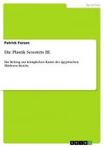 Patrick Farsen: Die Plastik Sesostris II