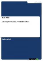 Einsatzpotenziale von m-Business