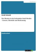 Der Mestize in der kolonialen Stadt Mexiko - Genese, Identität und Bedeutung