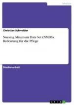 Nursing Minimum Data Set (NMDS): Bedeutung für die Pflege