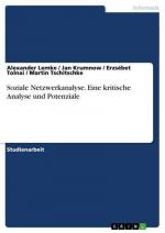 Soziale Netzwerkanalyse. Eine kritische Analyse und Potenziale