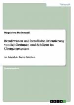 Berufswissen und berufliche Orientierung von Schülerinnen und Schülern im Übergangssystem