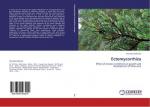 Ectomycorrhiza