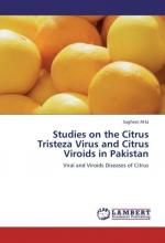 Studies on the Citrus Tristeza Virus and Citrus Viroids in Pakistan