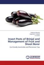 Insect Pests of Brinjal and Management of Fruit and Shoot Borer