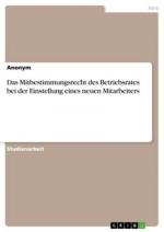 Das Mitbestimmungsrecht des Betriebsrates bei der Einstellung eines neuen Mitarbeiters