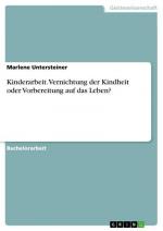 Kinderarbeit. Vernichtung der Kindheit oder Vorbereitung auf das Leben?