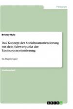 Das Konzept der Sozialraumorientierung mit dem Schwerpunkt der Ressourcenorientierung