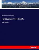 Handbuch der Geburtshülfe