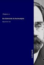 Die Elektrizität als Rechtsobjekt