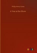 Philip Henry Gosse: A Year at the Shore