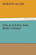 Only an Irish Boy Andy Burke's Fortunes