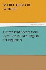 Citizen Bird Scenes from Bird-Life in Plain English for Beginners