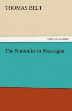 Thomas Belt: The Naturalist in Nicaragua