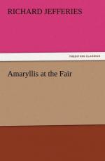 Amaryllis at the Fair