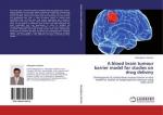 A blood brain tumour barrier model for studies on drug delivery