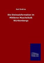 Karl Endriss: Die Steinsalzformation im 