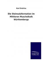 Karl Endriss: Die Steinsalzformation im 