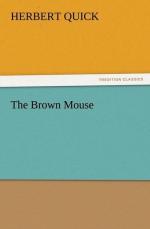 The Brown Mouse