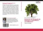 Evolución del Bosquete de Elaeagnus angustifolia L. en Valdemoro