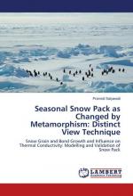 Seasonal Snow Pack as Changed by Metamorphism: Distinct View Technique