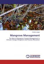 Mangrove Management