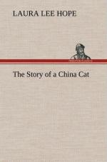 The Story of a China Cat