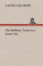 The Bobbsey Twins in a Great City