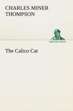 The Calico Cat