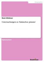 René Glöckner: Untersuchungen zu 